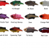 JACKALL DOOZER LURE