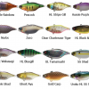 JACKALL TN60 LURE