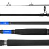 beefstick